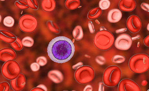 Harmful Effects of Fat Deficiency: Understanding Health Consequences